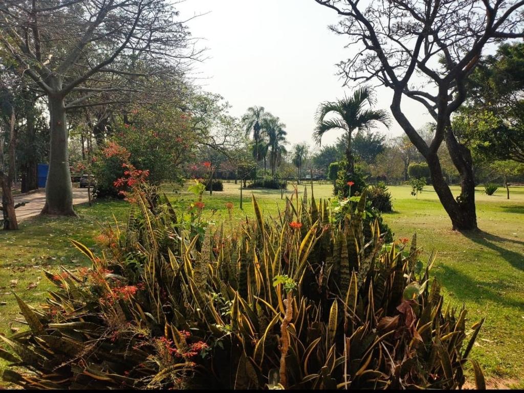 Casa JARDIN I photo 3