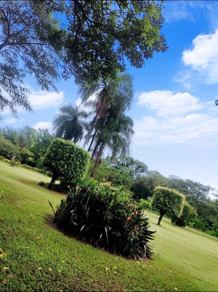 Casa JARDIN I photo 4