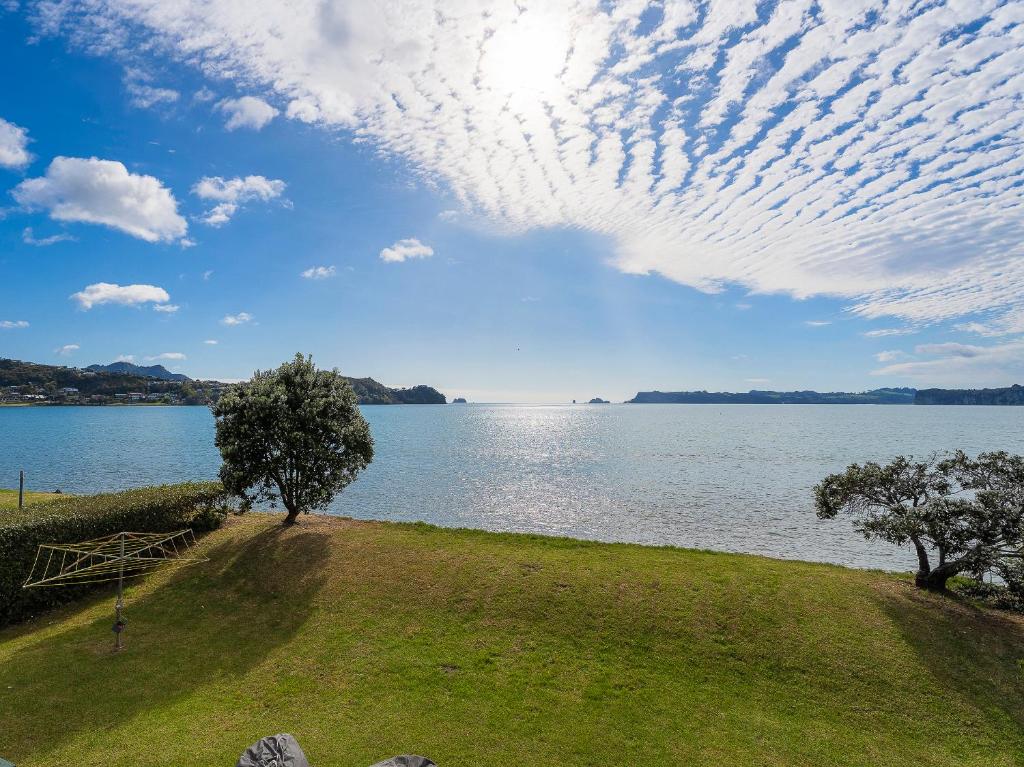 Buffalo Hill - Whitianga Holiday Home photo 2