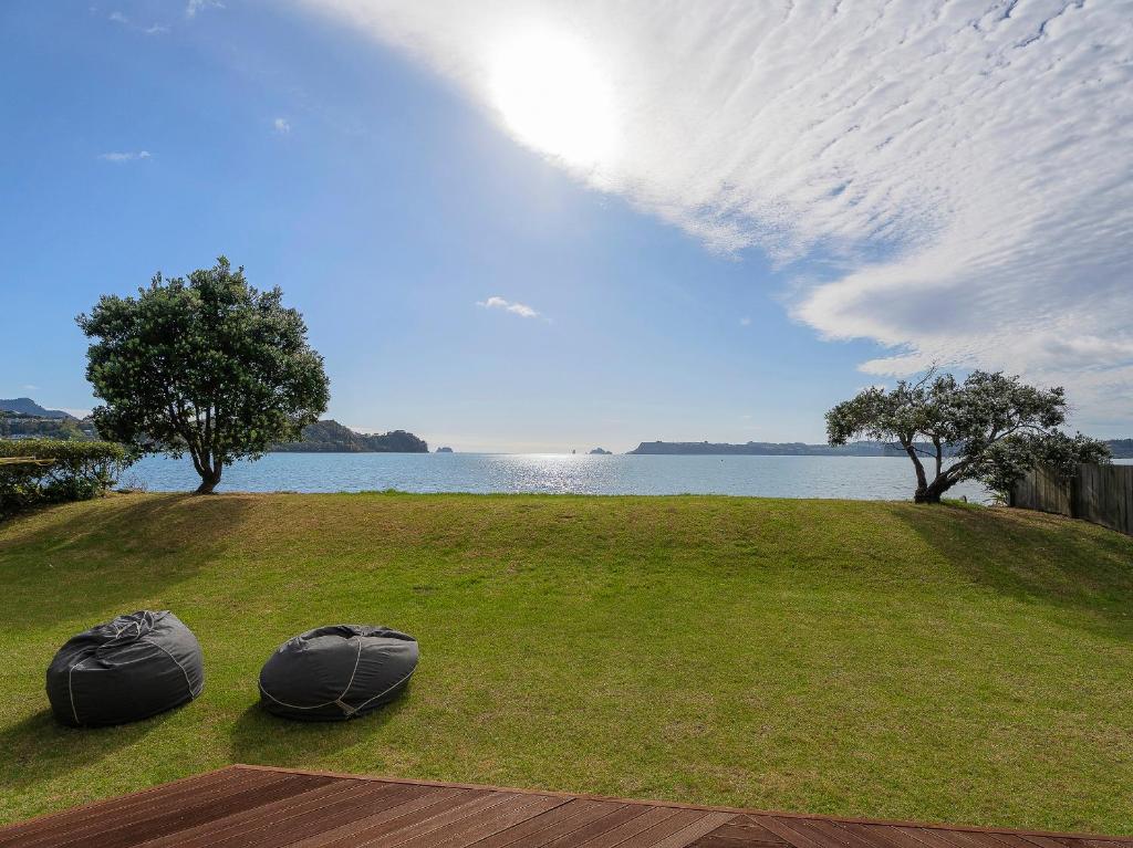 Buffalo Hill - Whitianga Holiday Home photo 1