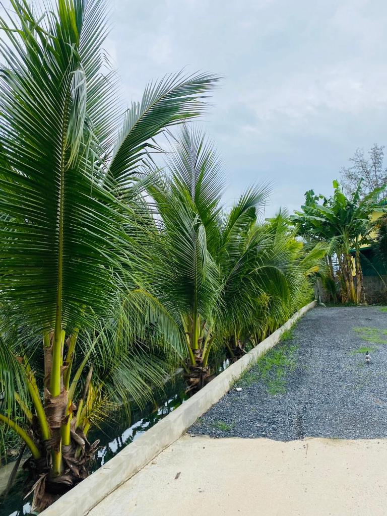 Jhen House photo 4