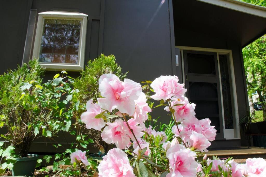Ashwood Cottages photo 4