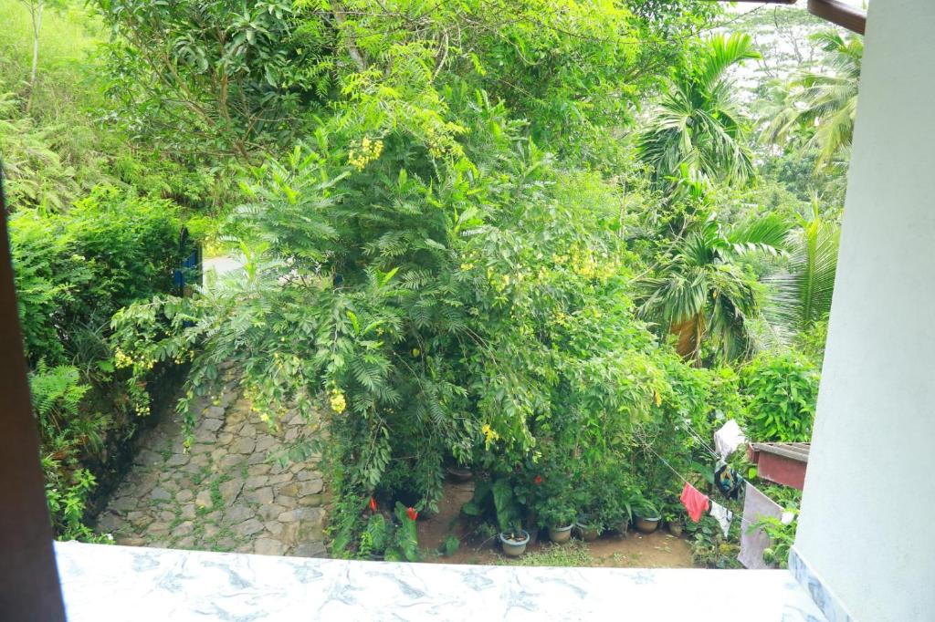 Laksiri Homestay photo 4