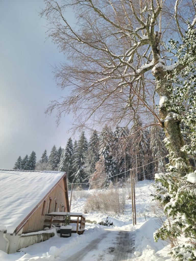 La ferme du Badon photo 1