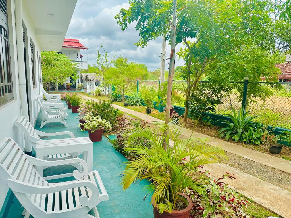 New Peacock Resort photo 2