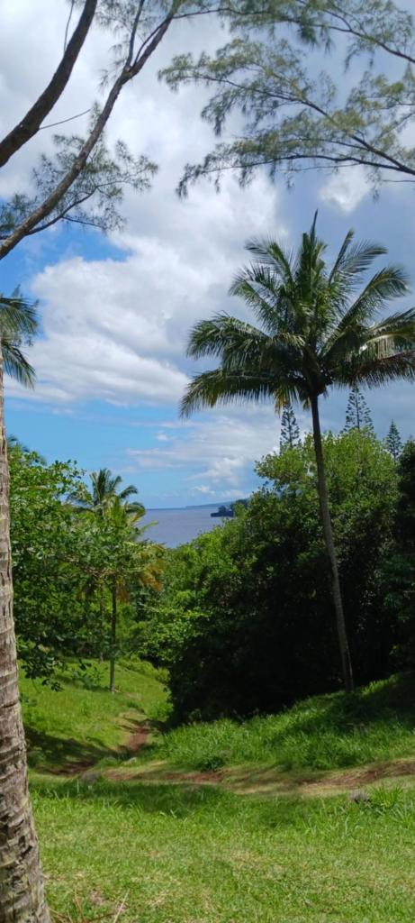 Filassa Home, Villa à la Rivière de l'Est, Sainte Rose photo 1