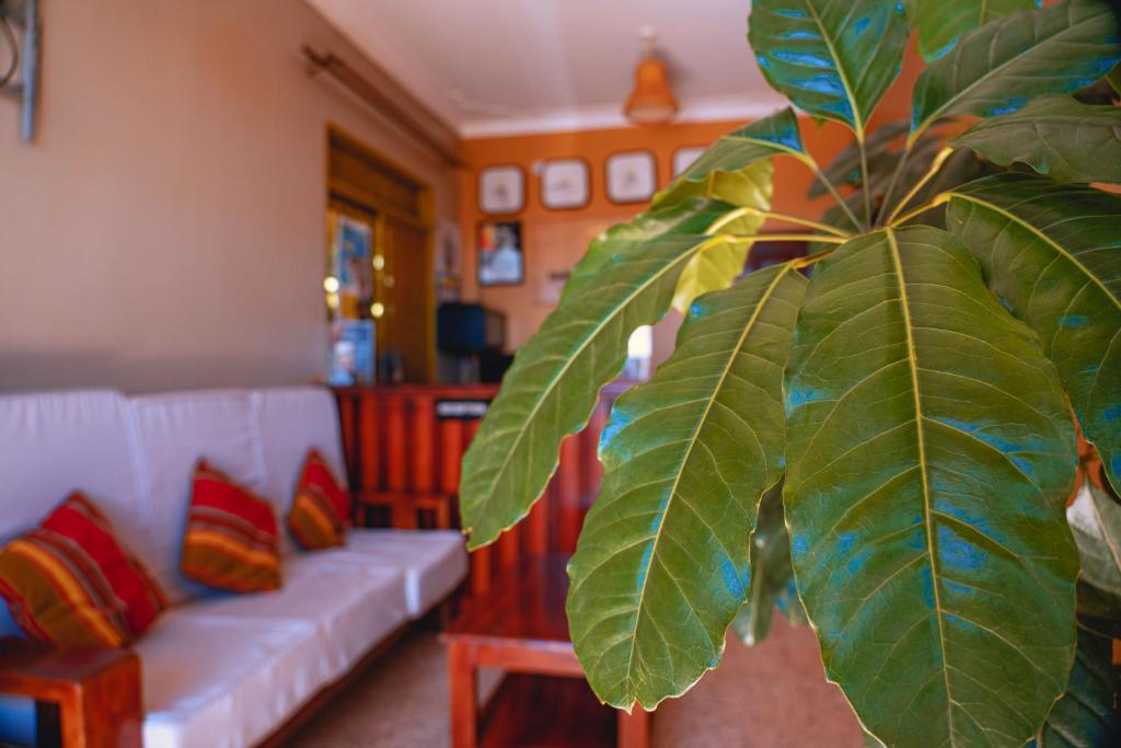 GOLDEN QUEST HOTEL photo 2