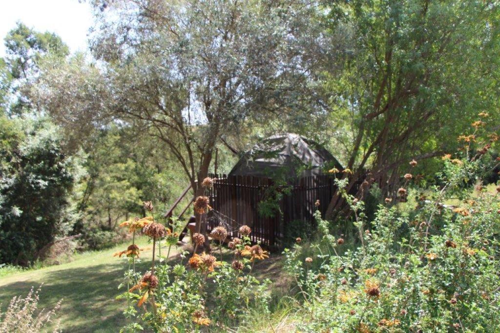 Breede Bush Camp photo 2