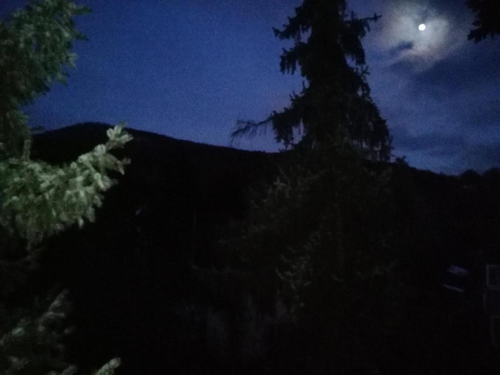 Porodicna kuca Jovanovic photo 4