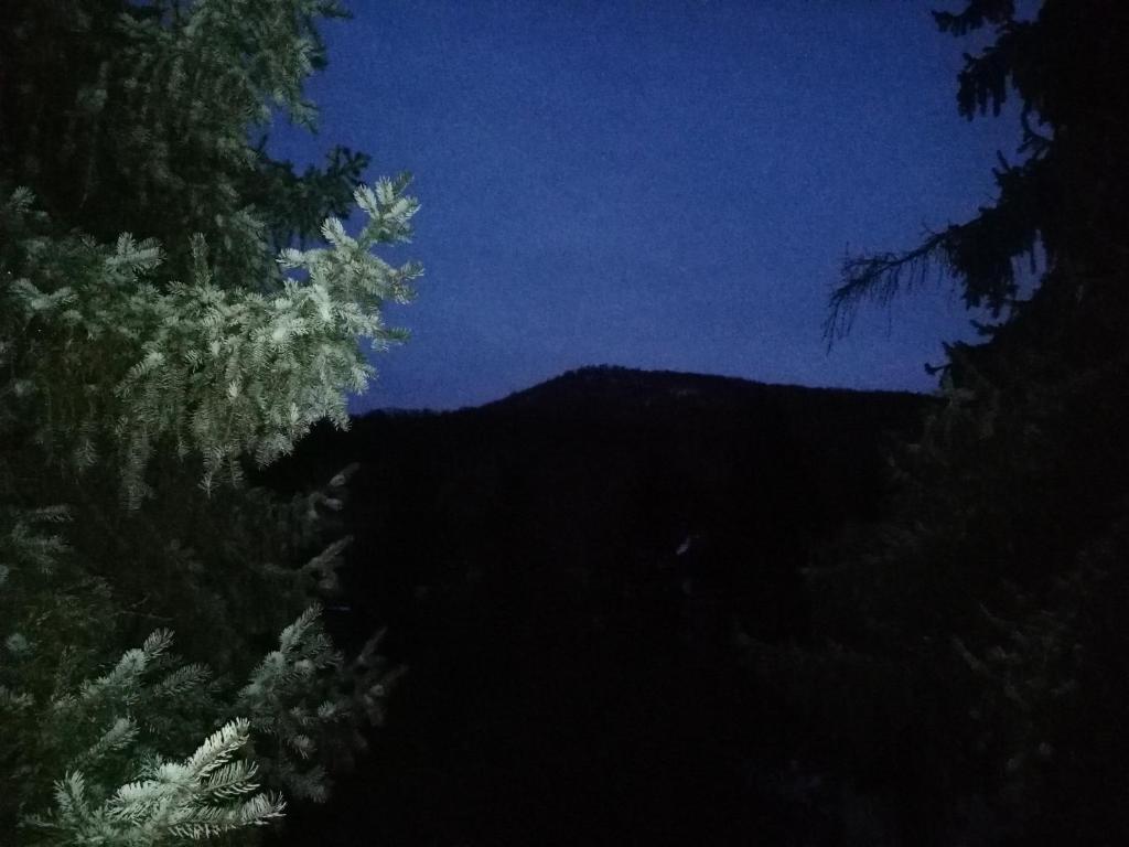 Porodicna kuca Jovanovic photo 3