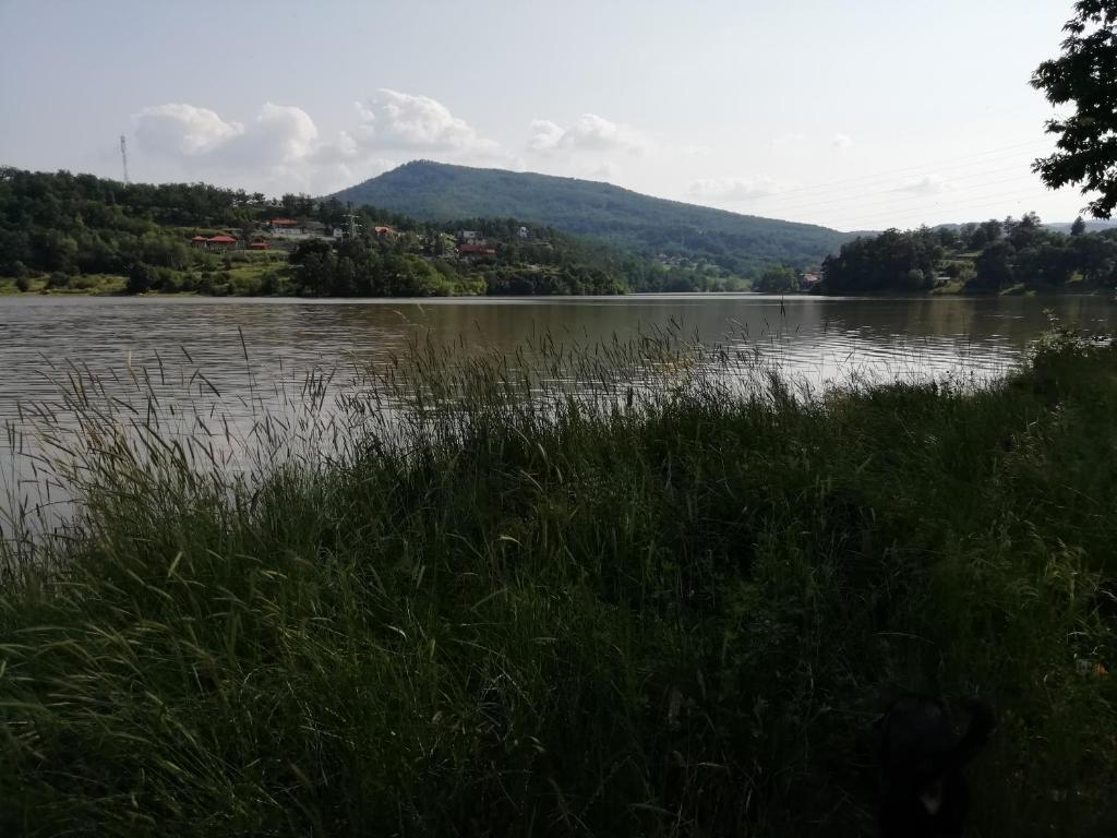 Porodicna kuca Jovanovic photo 2