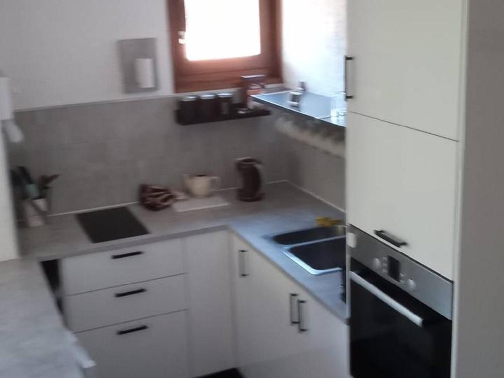 Appartement Saint-Jean-d'Aulps, 3 pièces, 6 personnes - FR-1-573-72 photo 3
