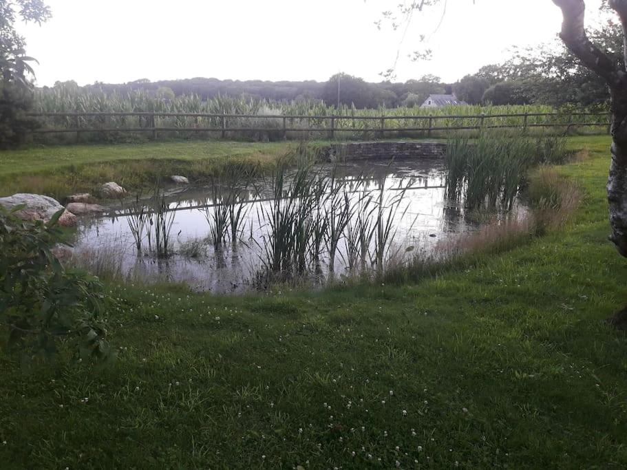 Gîte aménagé grand confort photo 4