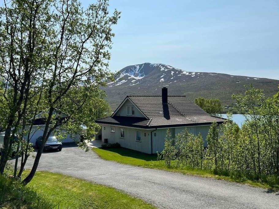 Lyngen, Lassofjellveien