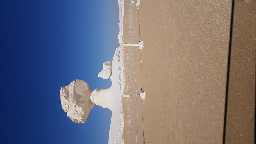 White desert & Black desert camb photo 2