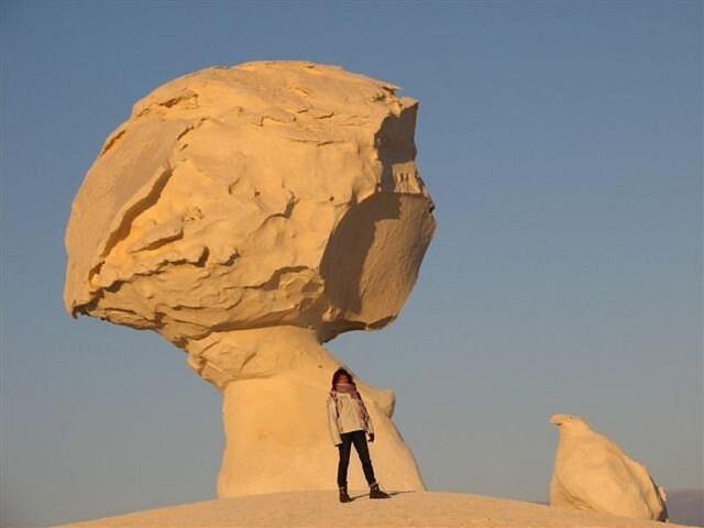 White desert & Black desert camb