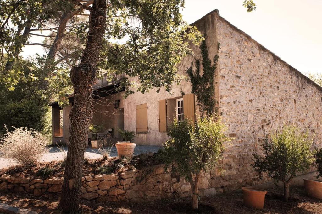 Palm tree cottage with pool in Taradeau photo 3