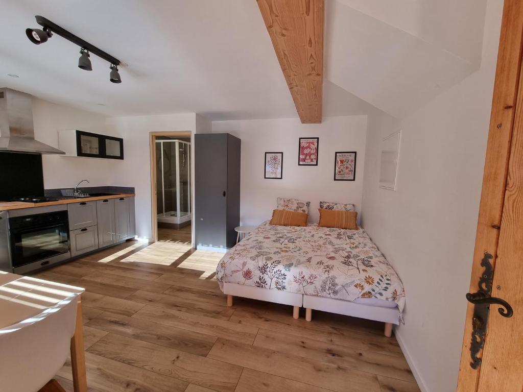 Studio 2 personnes - lumineux - Lac d'Annecy photo 4