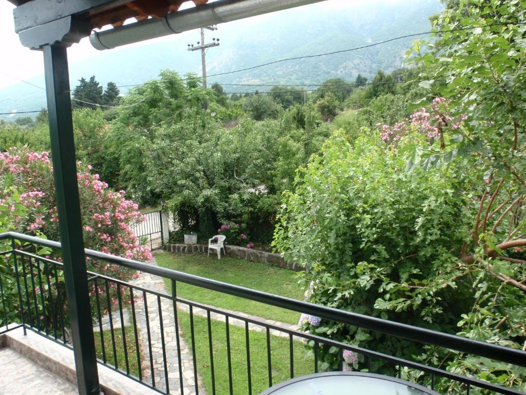 Petrouda's Apartments photo 4