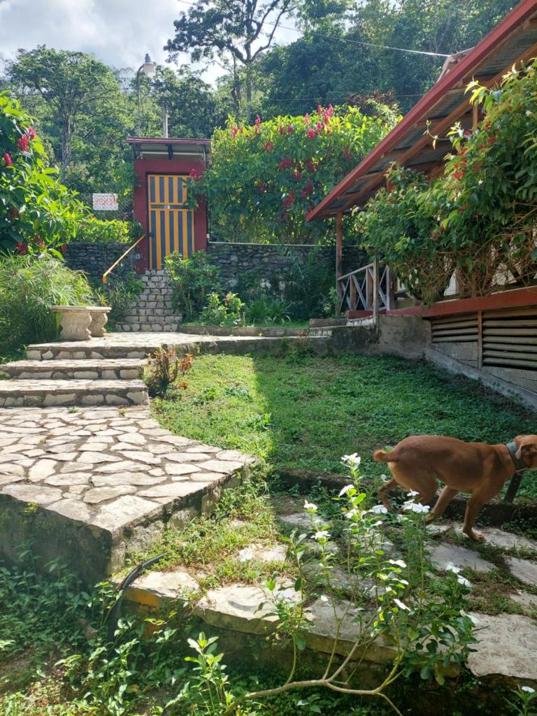 Complejo Villa Clara Junto al Río y Montañas by drvacationsrental photo 3