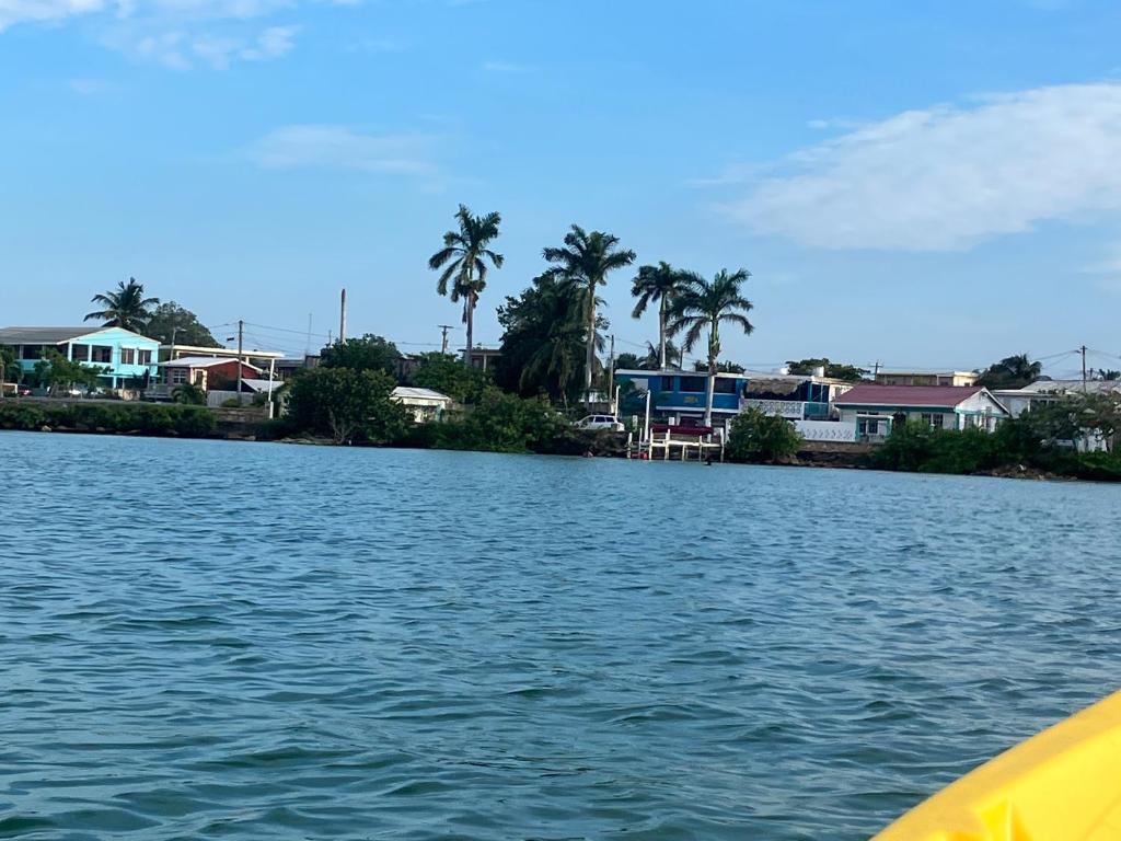 Rum punch lodge photo 3
