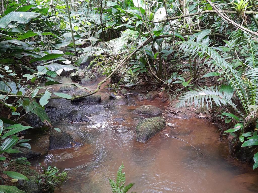 Sítio querência amada photo 3