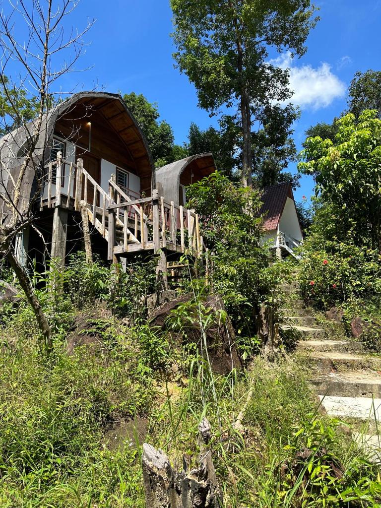 Nest Jungle photo 2