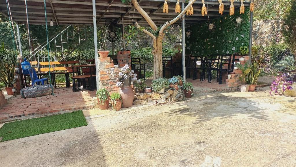 Lưng Đồi Homestay Mộc Châu