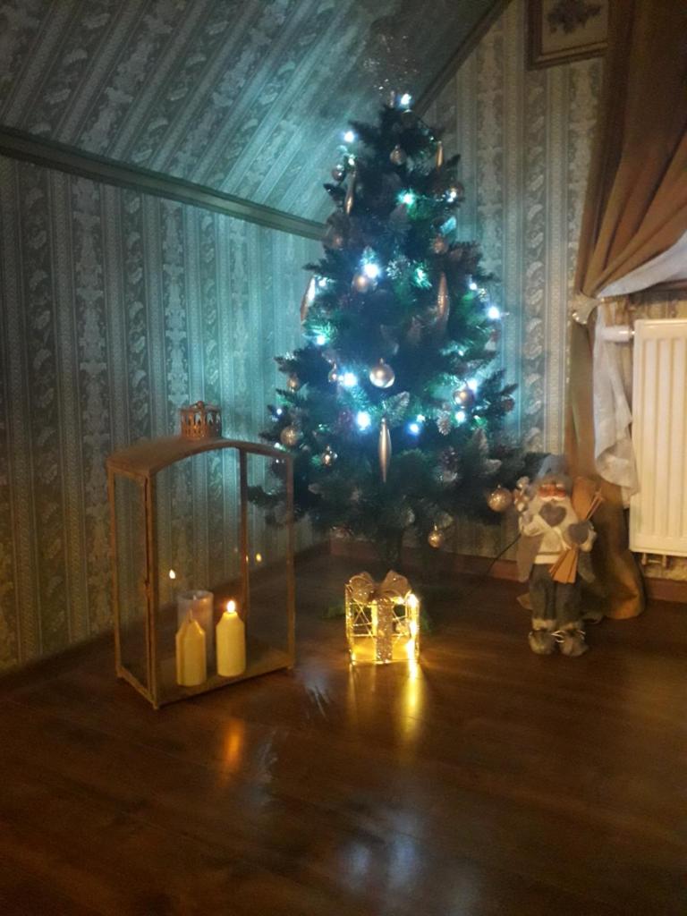 Królowa Luiza i Wiking photo 1