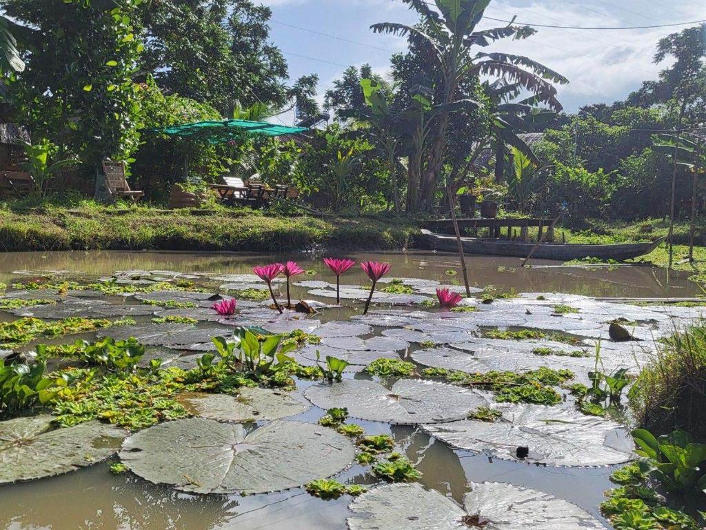 MEKONG DANIEL HOMESTAY CAN THO