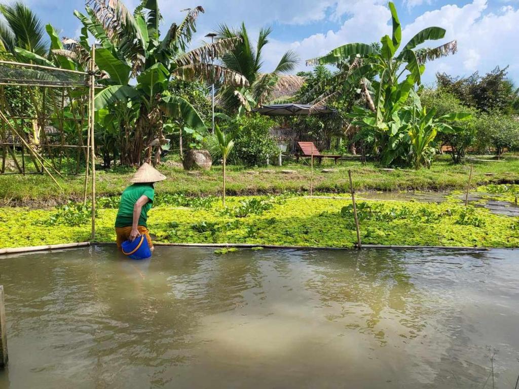 MEKONG DANIEL HOMESTAY CAN THO