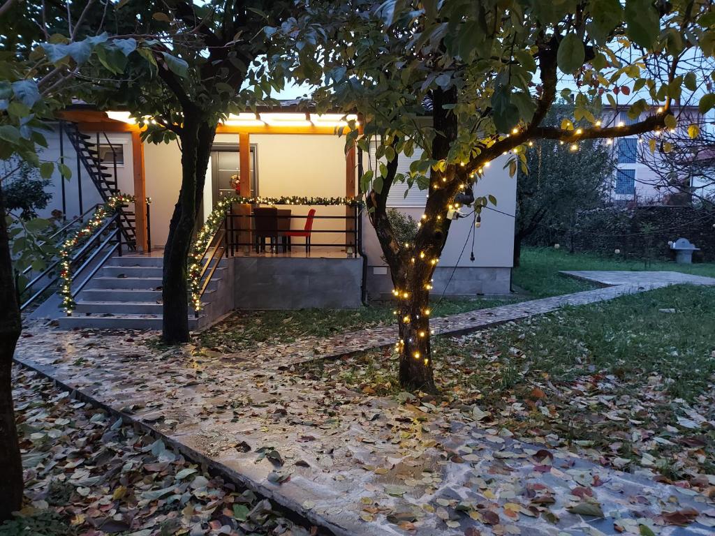 Nicolaus Hidden Gem Villa photo 2