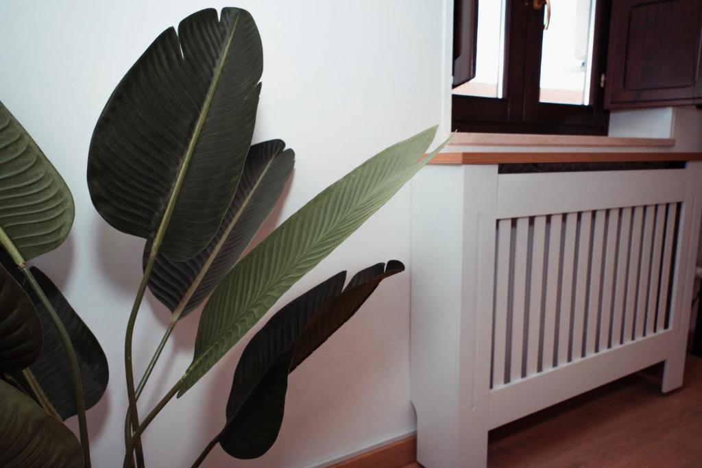 SambaSS Boutique Apartment photo 4