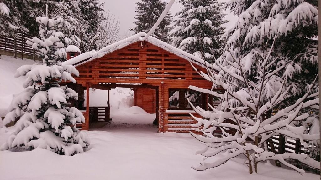 Cabana Colibita