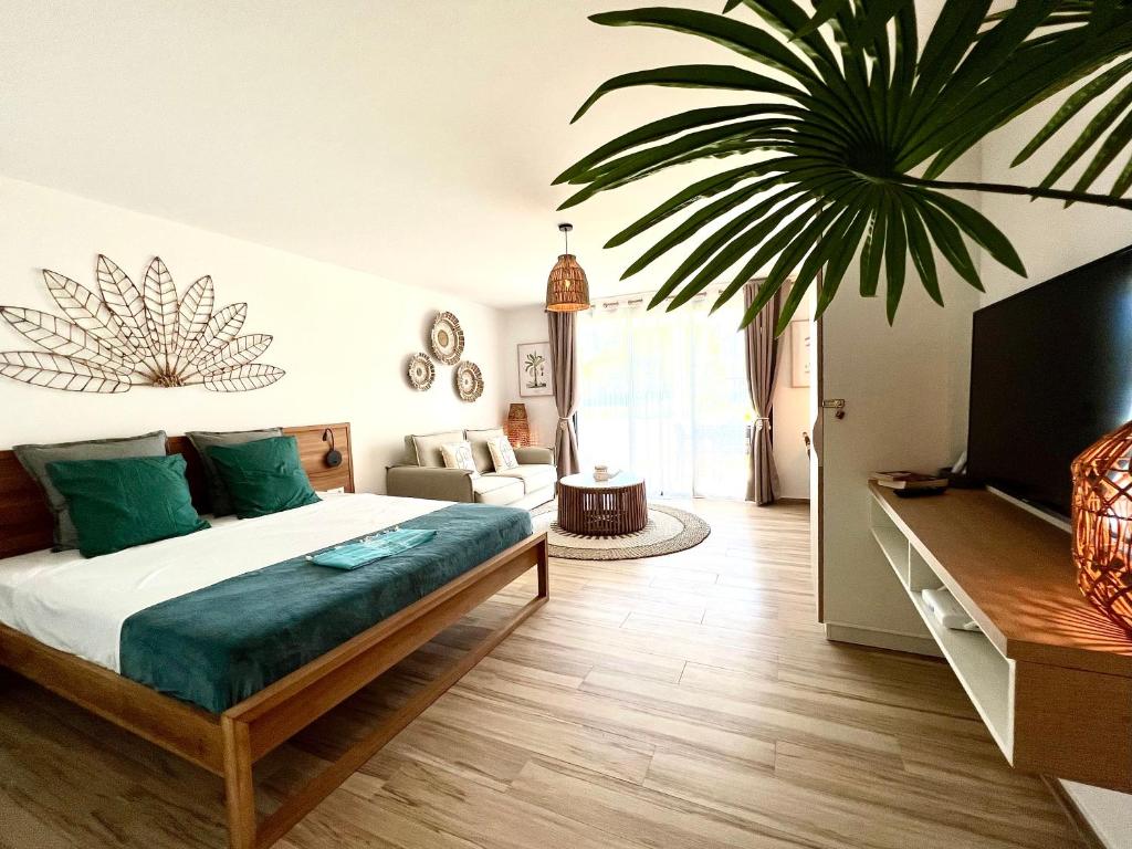 Cosy studio - 2P - Orient Bay - ALAMANDA - 002