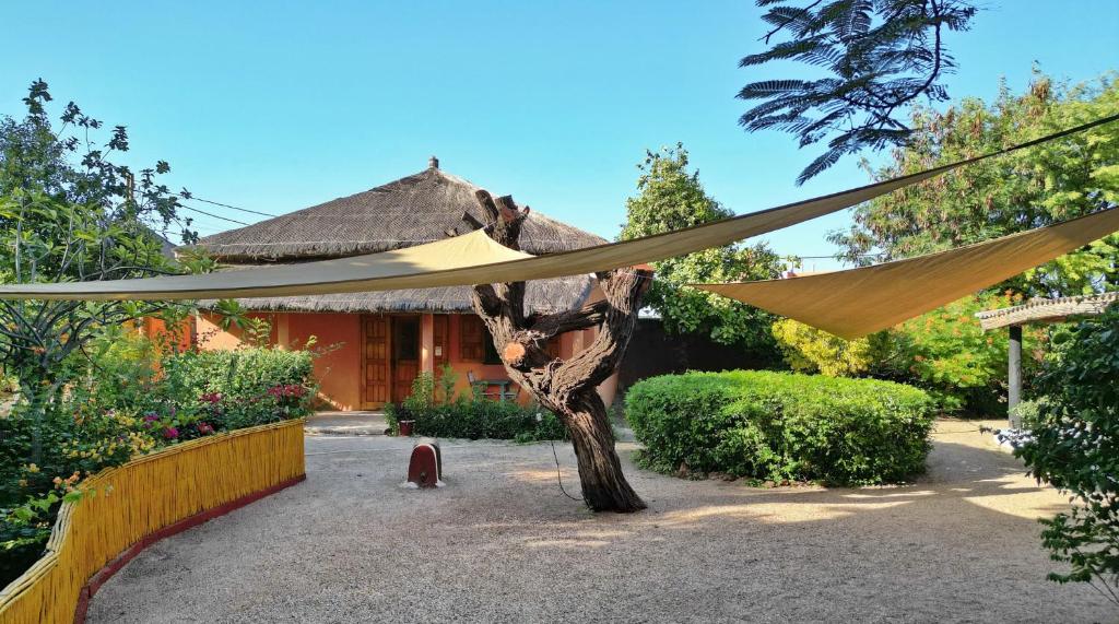 Auberge Plein Soleil photo 4