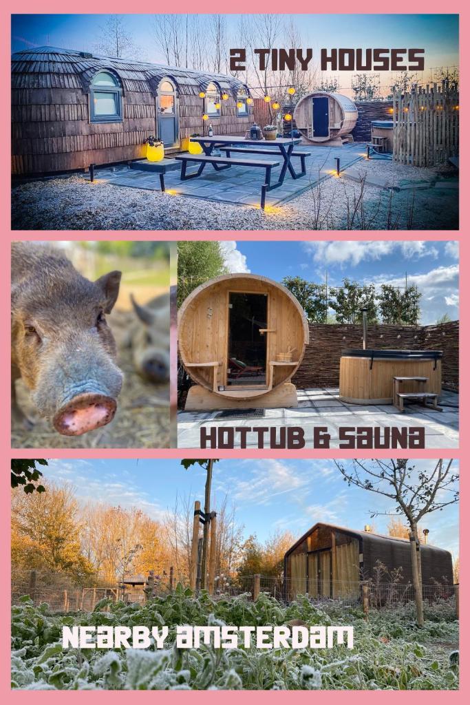 Bed & Wellness Klein Knorrestein with 2 romantic sustainable tiny house, use private hottub, sauna, tandembike included in price, just 30 minutes from Amsterdam
