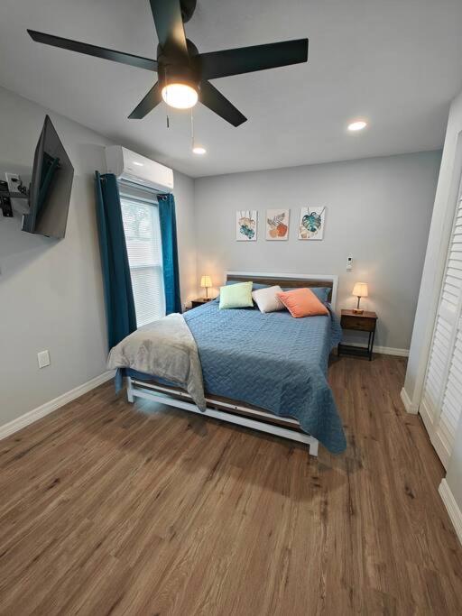 Gorgeous suite central location photo 2