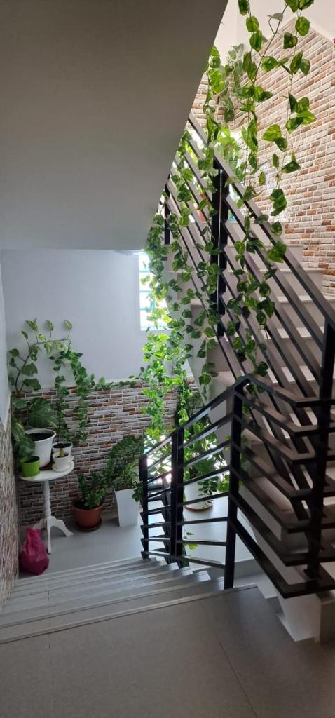 SUITES-HOME, CIDADELA photo 1