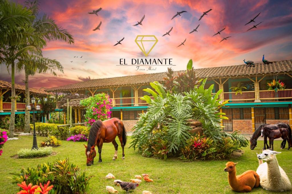 Finca Hotel el Diamante photo 2