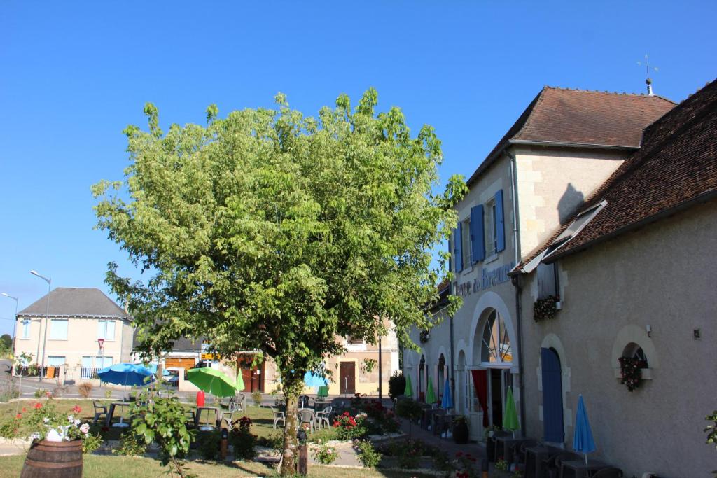 Terre de Brenne photo 2