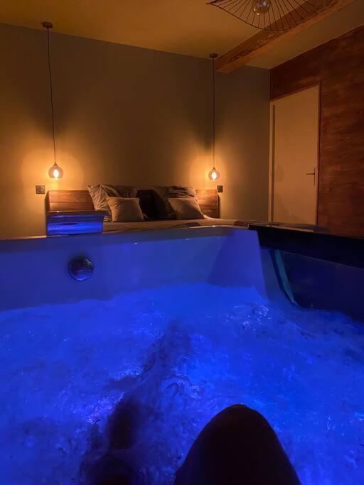 Superbe appartement avec jacuzzi et jardin privé photo 1