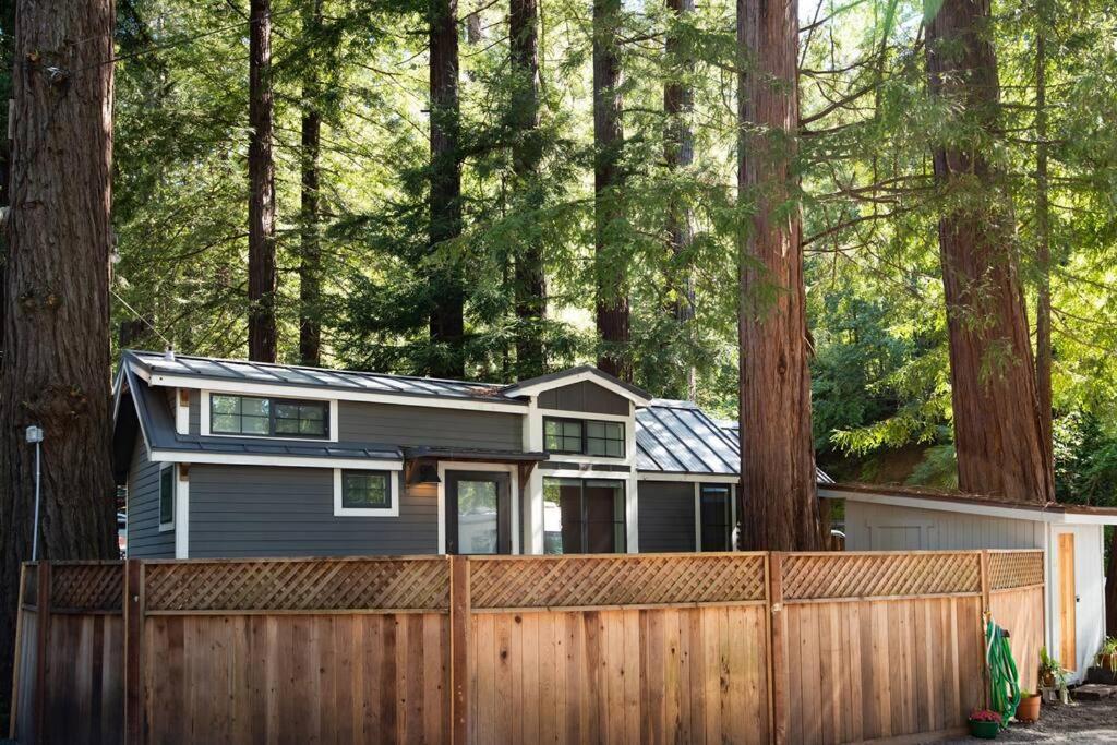 Tranquil Redwood Retreat photo 2