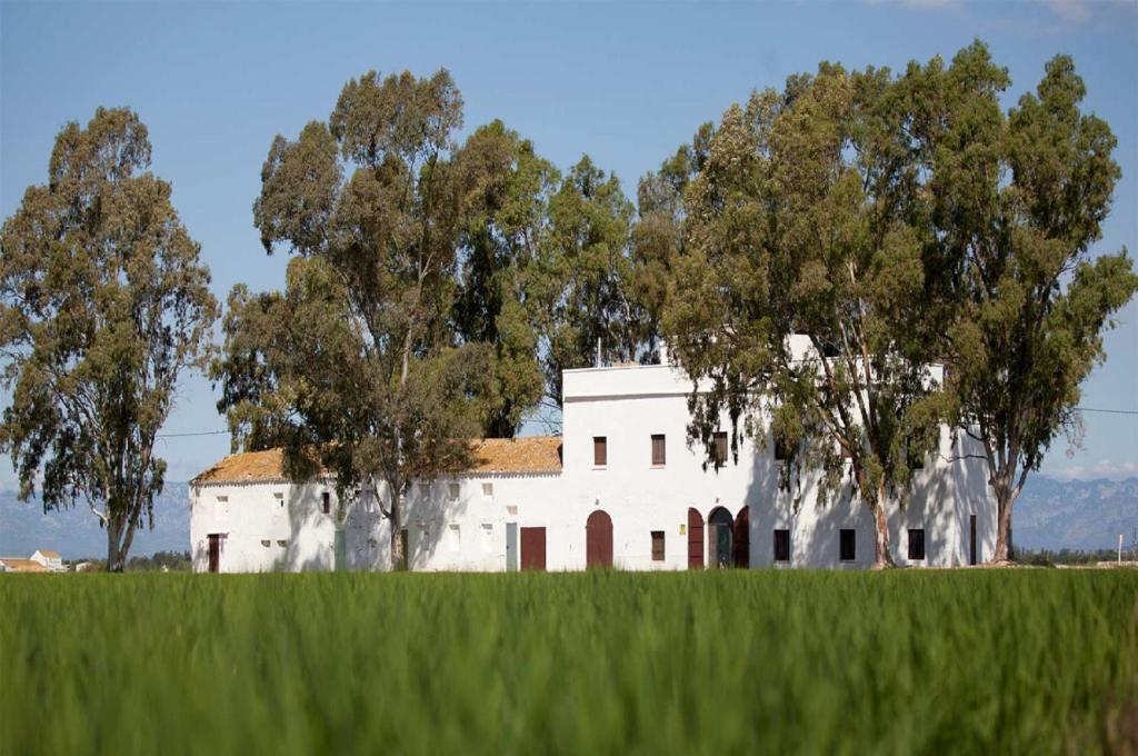 Mas Illa de Riu - Auténtica Masía del Delta del Ebro con capacidad para 20 personas - Deltavacaciones photo 1