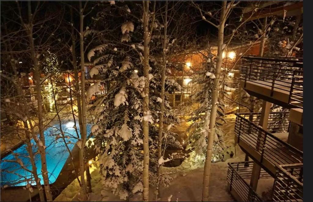 Enclave 102, Snowmass Ski-In/Ski-Out Condo w/Shared Pool/Hot Tub photo 3
