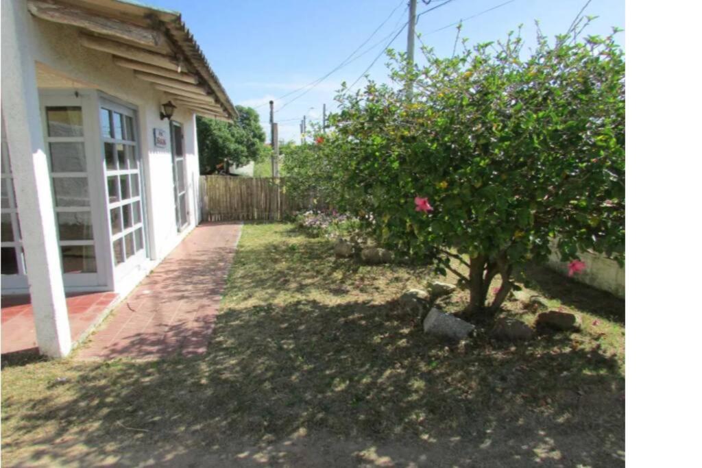 Casa Los Hibiscos - Aguas Dulces photo 4