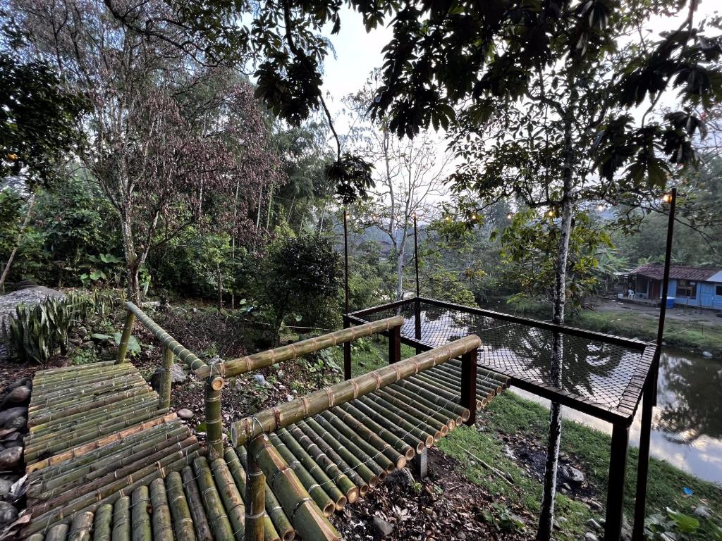 Finca Mi Carmencita photo 3