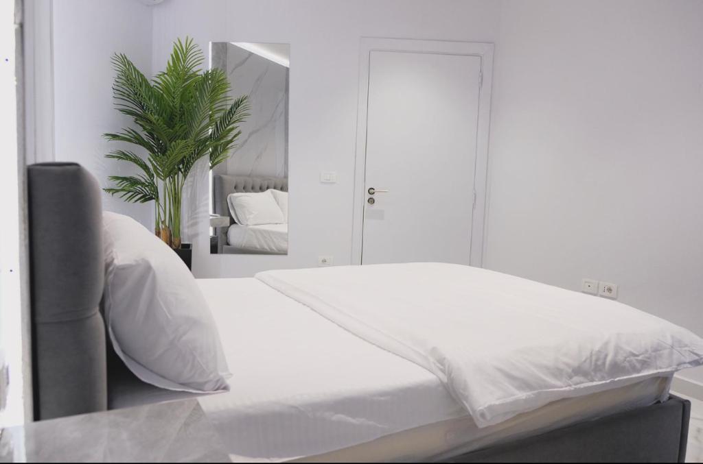 Suncity Tirana Luxury Apartments photo 3