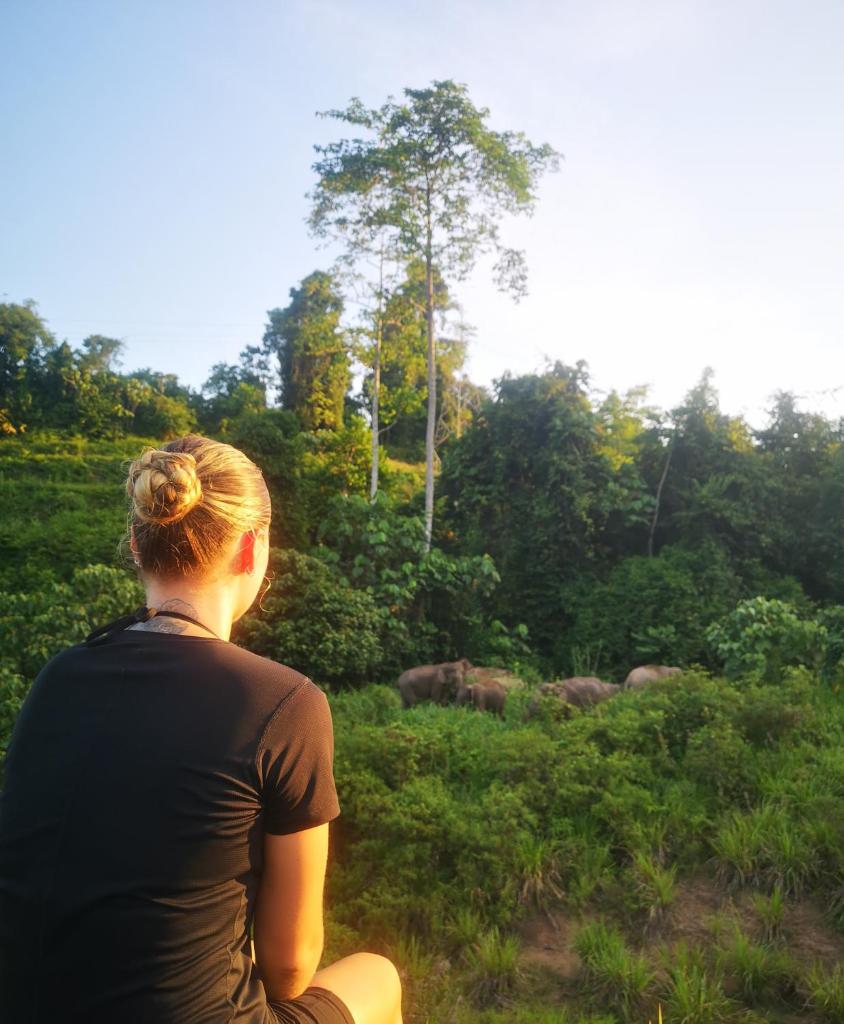 Wild Lodge Taman Negara photo 3
