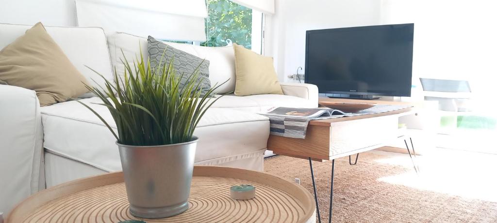 Port marina & beach apartment with pools